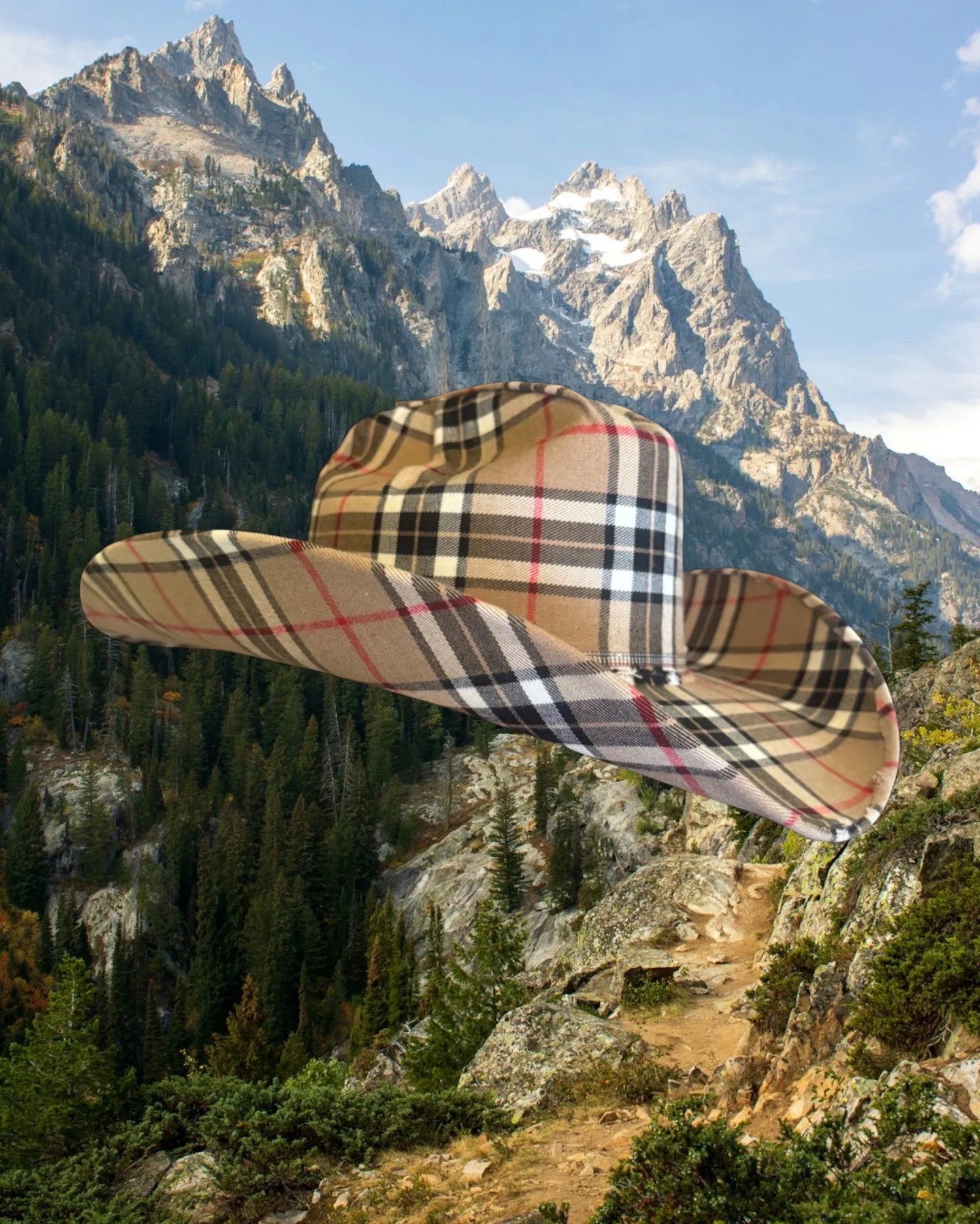 Caramel Tartan sold by Zandria product image thumbnail 2