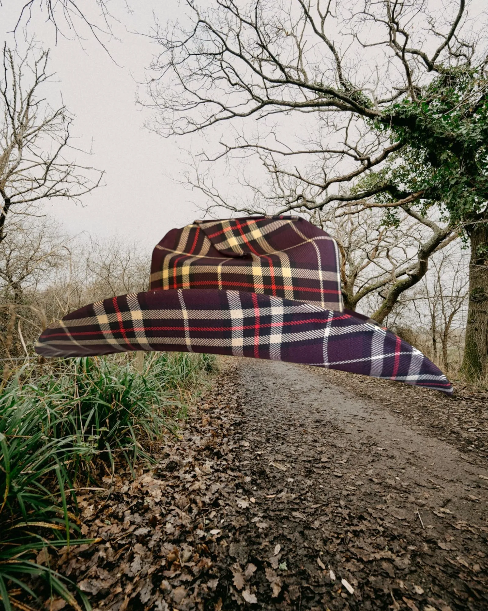 Oxblood Plaid sold by Zandria product image thumbnail 3