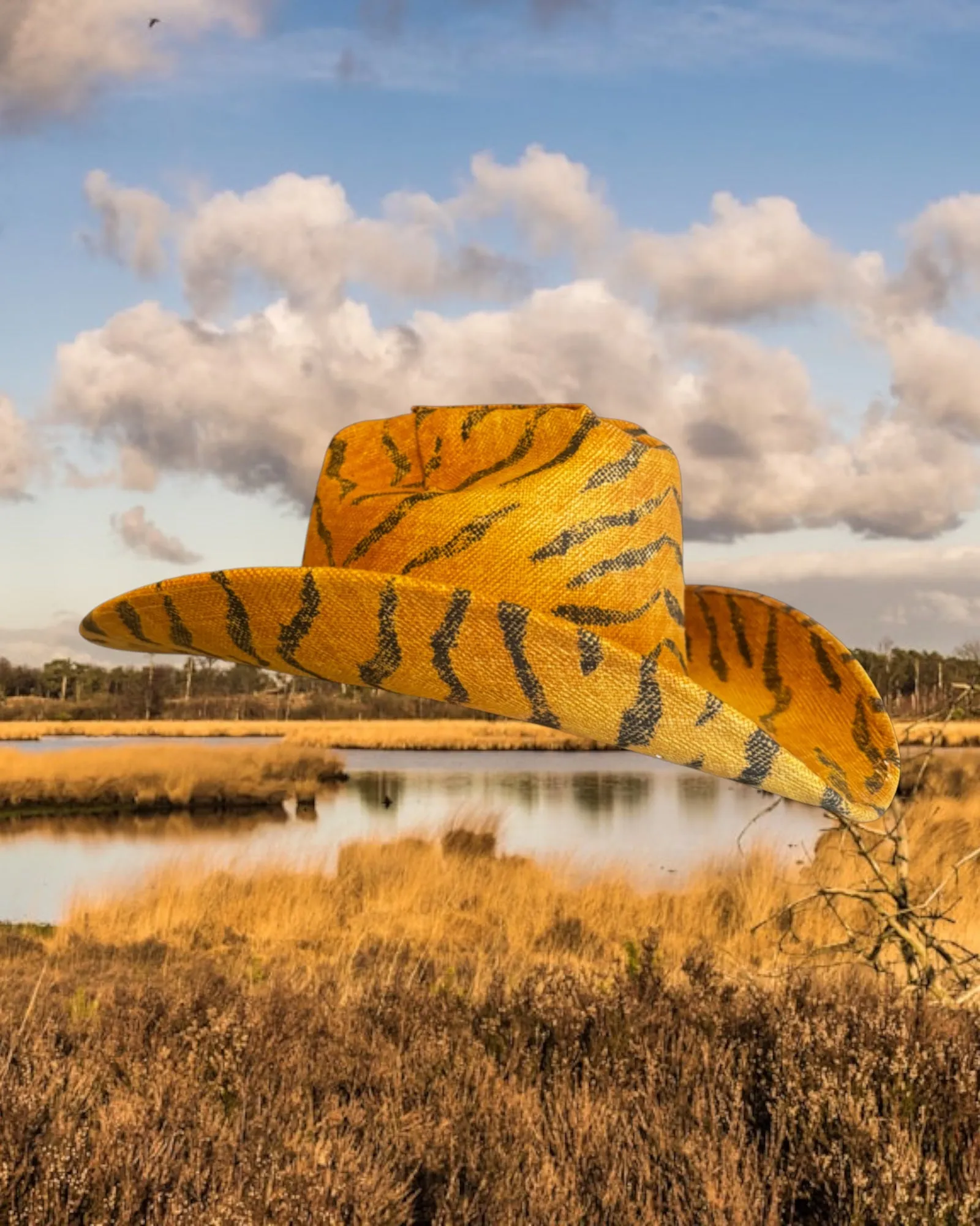 Savanna Sunrise sold by Zandria product image thumbnail 2