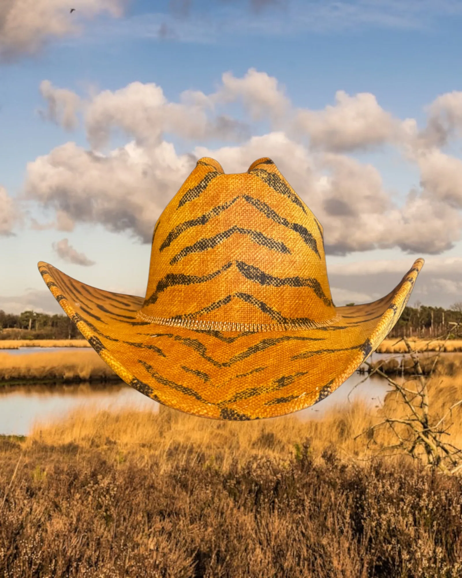 Savanna Sunrise sold by Zandria