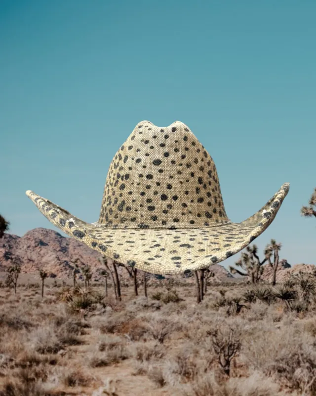 Dune Cheetah made by Zandria