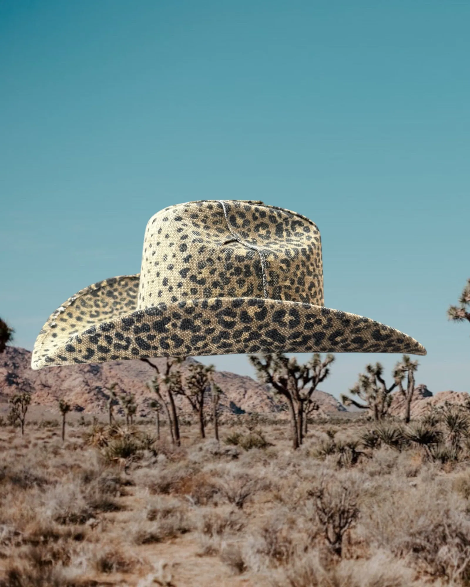 Dune Cheetah sold by Zandria product image thumbnail 2