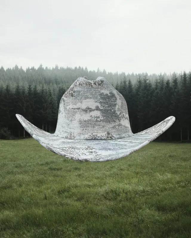 Meadow Toile made by Zandria