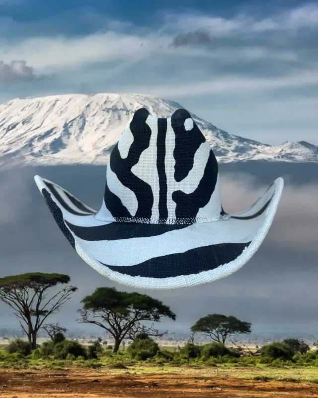 Zebra Line made by Zandria