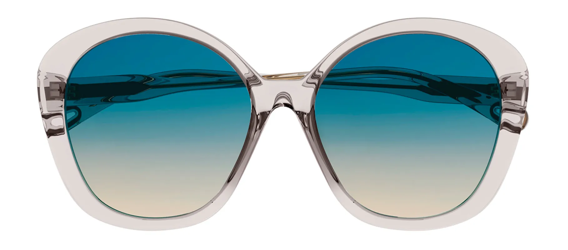 Chloe CH 0081S 003 Butterfly Plastic Pink Sunglasses with Green Gradient Lens sold by Gaffos