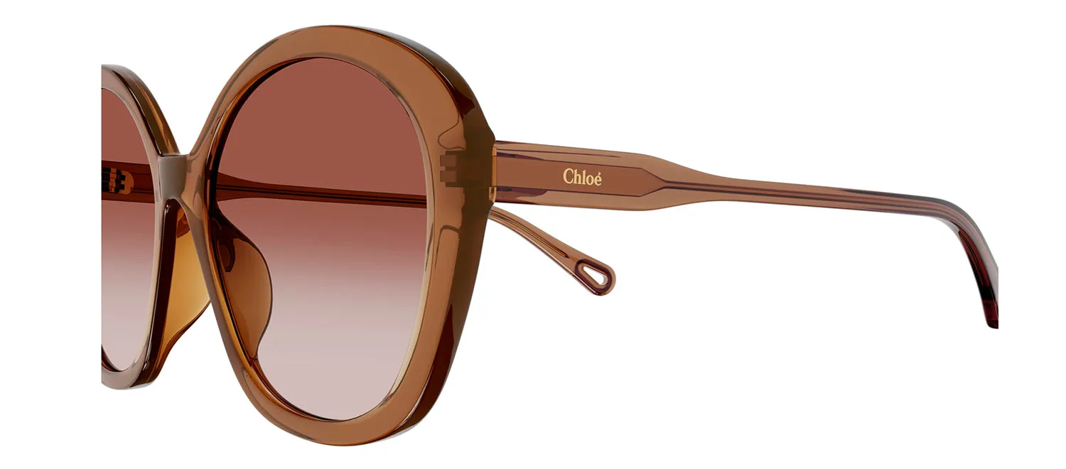 Chloe CH 0081S 002 Butterfly Plastic Brown Sunglasses with Orange Gradient Lens sold by Gaffos product image thumbnail 2