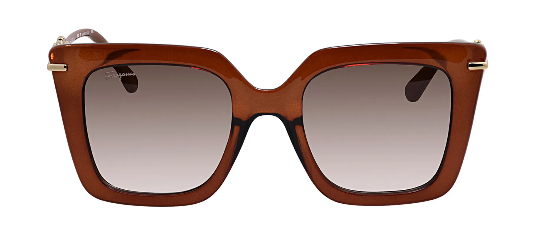 Salvatore Ferragamo SF 1041S 232 Butterfly Plastic Brown Sunglasses with Brown Gradient Lens sold by Gaffos