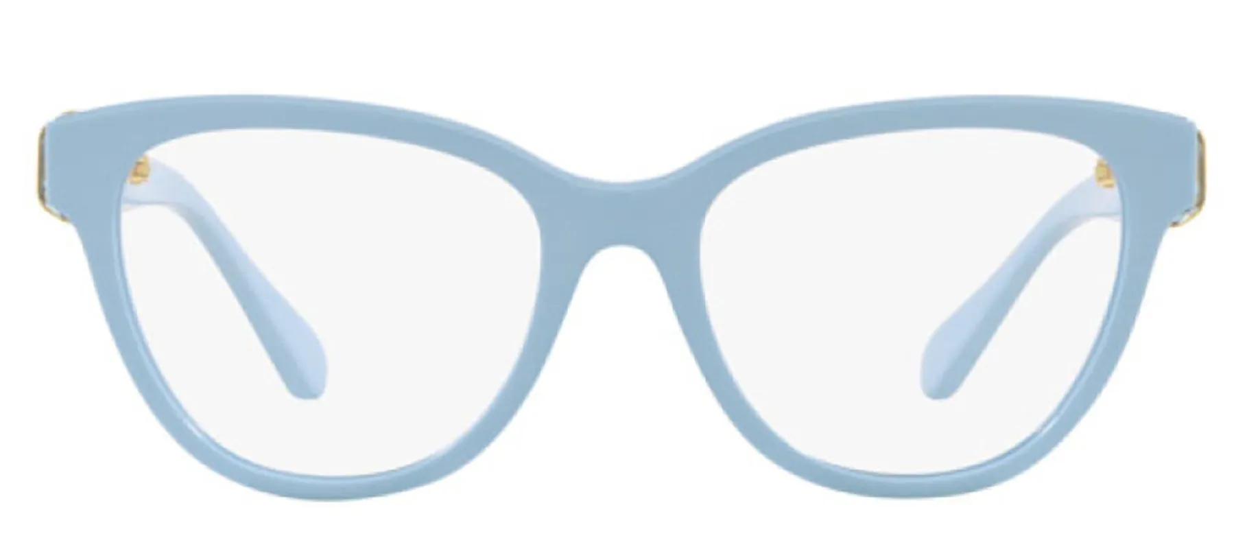 Swarovski SK 2004 1006 Cat-Eye Plastic Blue Eyeglasses with Logo Stamped Demo Lenses sold by Gaffos