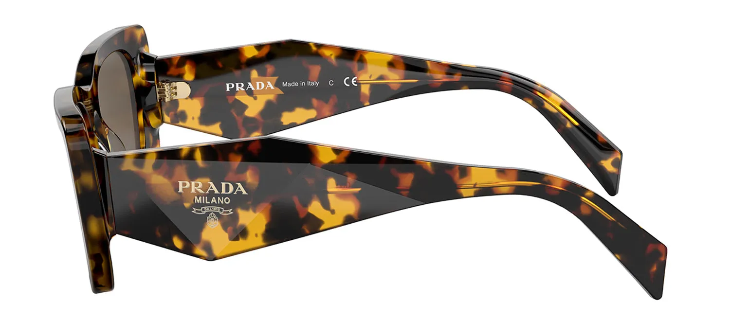 Prada PR 08YS 01V8C1 Butterfly Plastic Havana Sunglasses with Brown Lens sold by Gaffos product image thumbnail 3