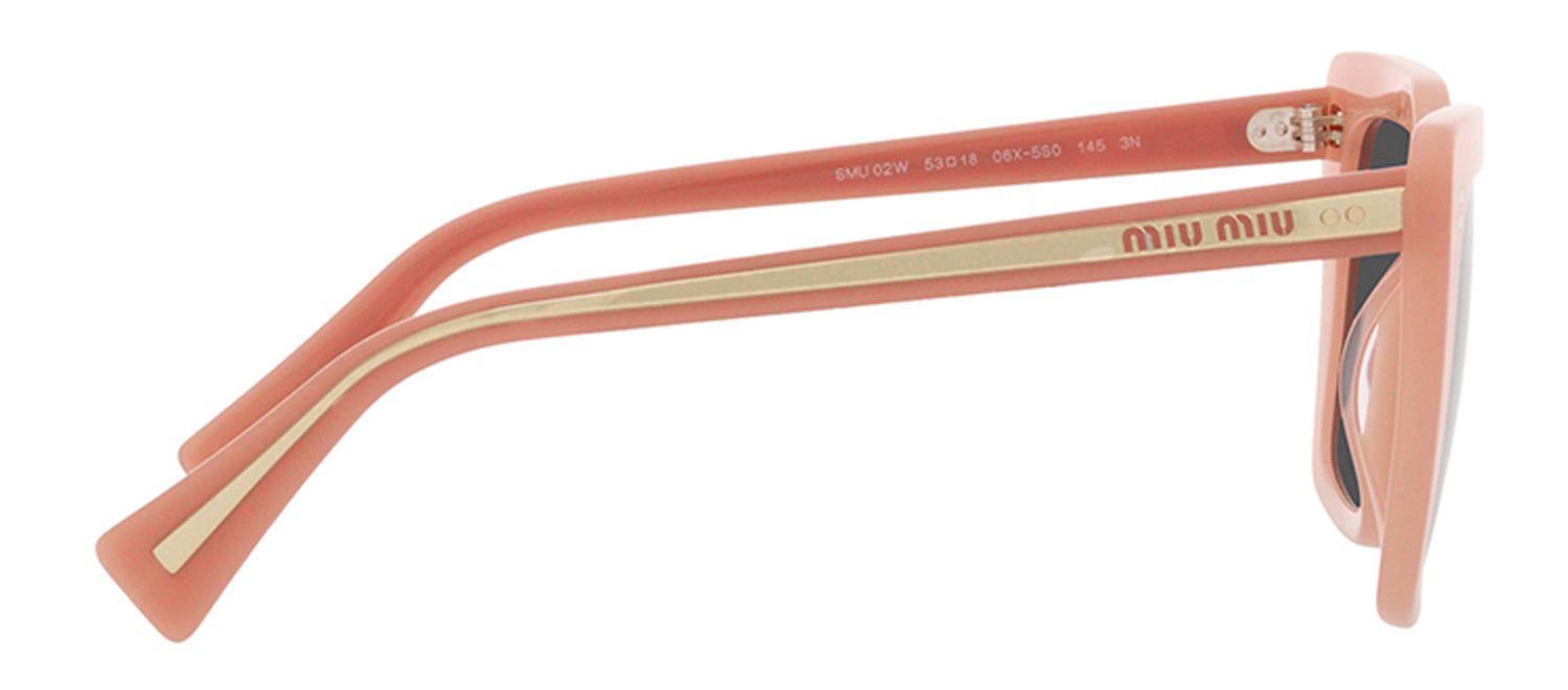 Miu Miu MU 02WS 06X5S0 Round Plastic Pink Sunglasses with Dark Brown Lens sold by Gaffos product image thumbnail 3