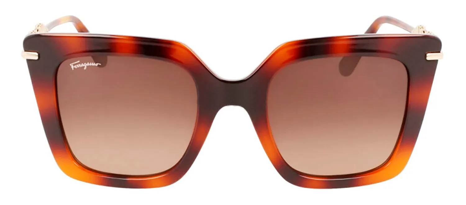 Salvatore Ferragamo SF 1041S 238 Square Plastic Havana Sunglasses with Brown Lens sold by Gaffos