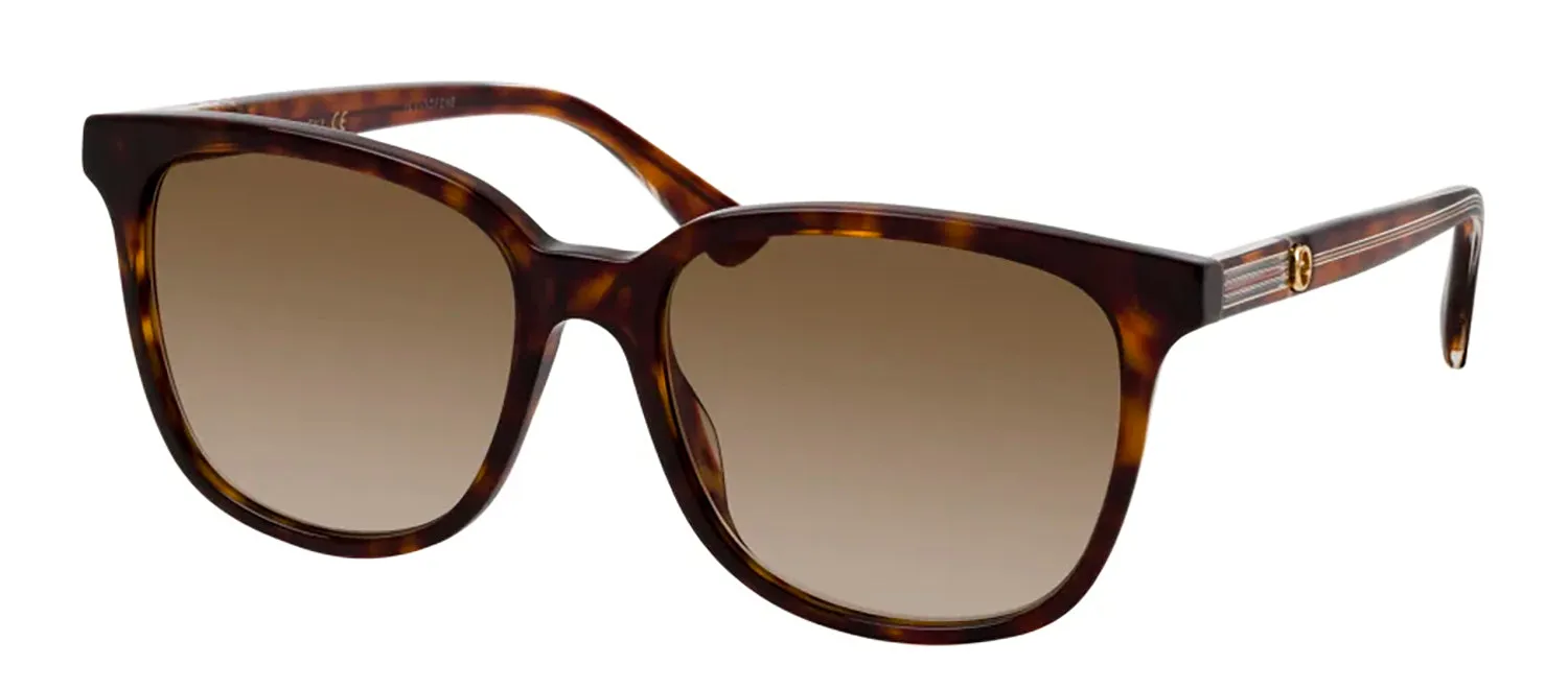 Gucci GG 0376SN 002 Square Plastic Havana Sunglasses with Brown Gradient Lens sold by Gaffos product image thumbnail 2