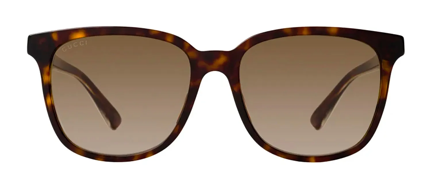 Gucci GG 0376SN 002 Square Plastic Havana Sunglasses with Brown Gradient Lens sold by Gaffos