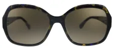 Kate Spade KS Amberlynn/S 2VM Square Plastic Havana Pattern Sunglasses with Brown Polarized Lens sold by Gaffos