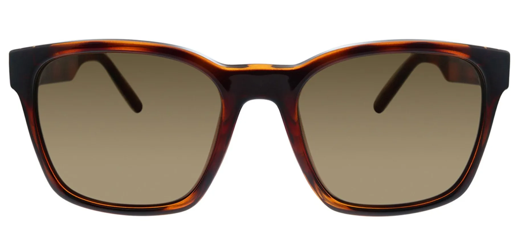 Salvatore Ferragamo SF 959S 214 Square Plastic Tortoise Sunglasses with Brown Lens sold by Gaffos