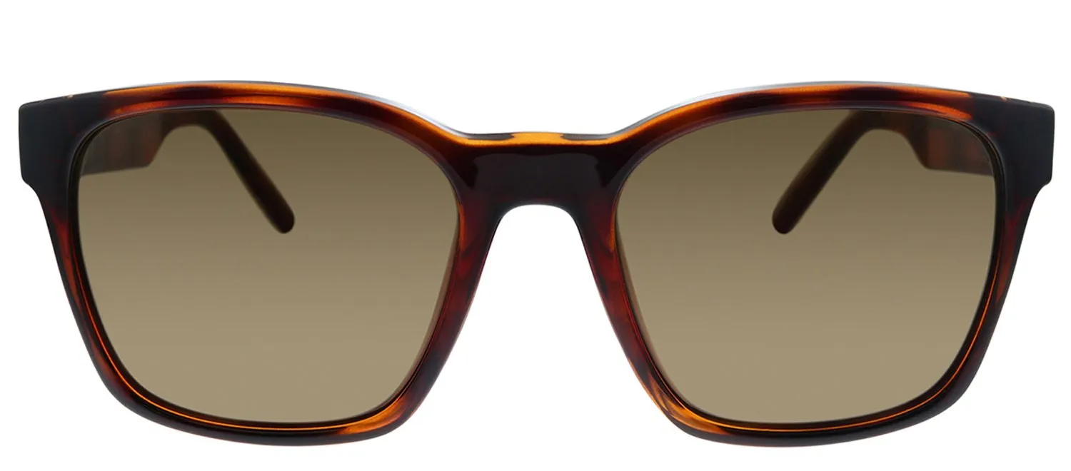 Salvatore Ferragamo SF 959S 214 Square Plastic Tortoise Sunglasses with Brown Lens sold by Gaffos