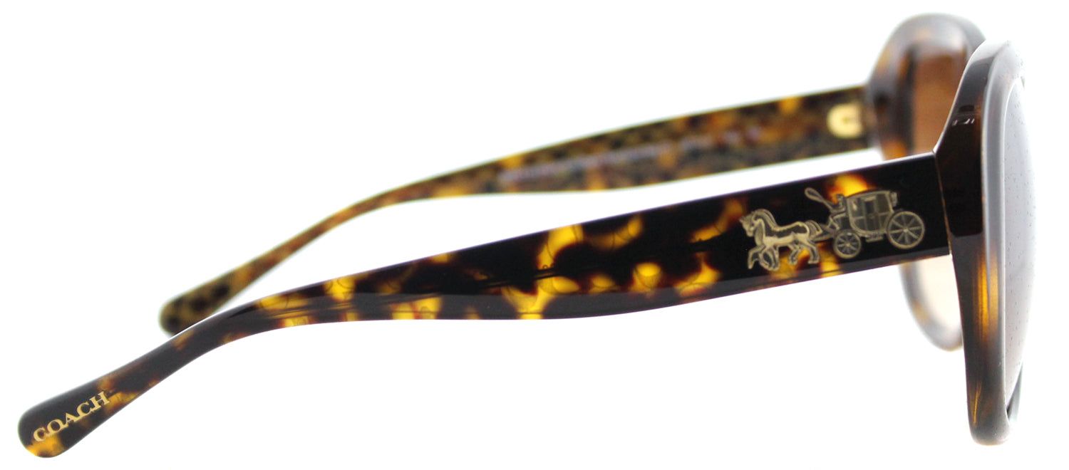 Coach HC 8207 539413 Square Plastic Tortoise/ Havana Sunglasses with Brown Gradient Lens sold by Gaffos product image thumbnail 3