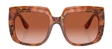 Dolce & Gabbana DG 4414 338013 Square Plastic Havana Sunglasses with Brown Gradient Lens sold by Gaffos