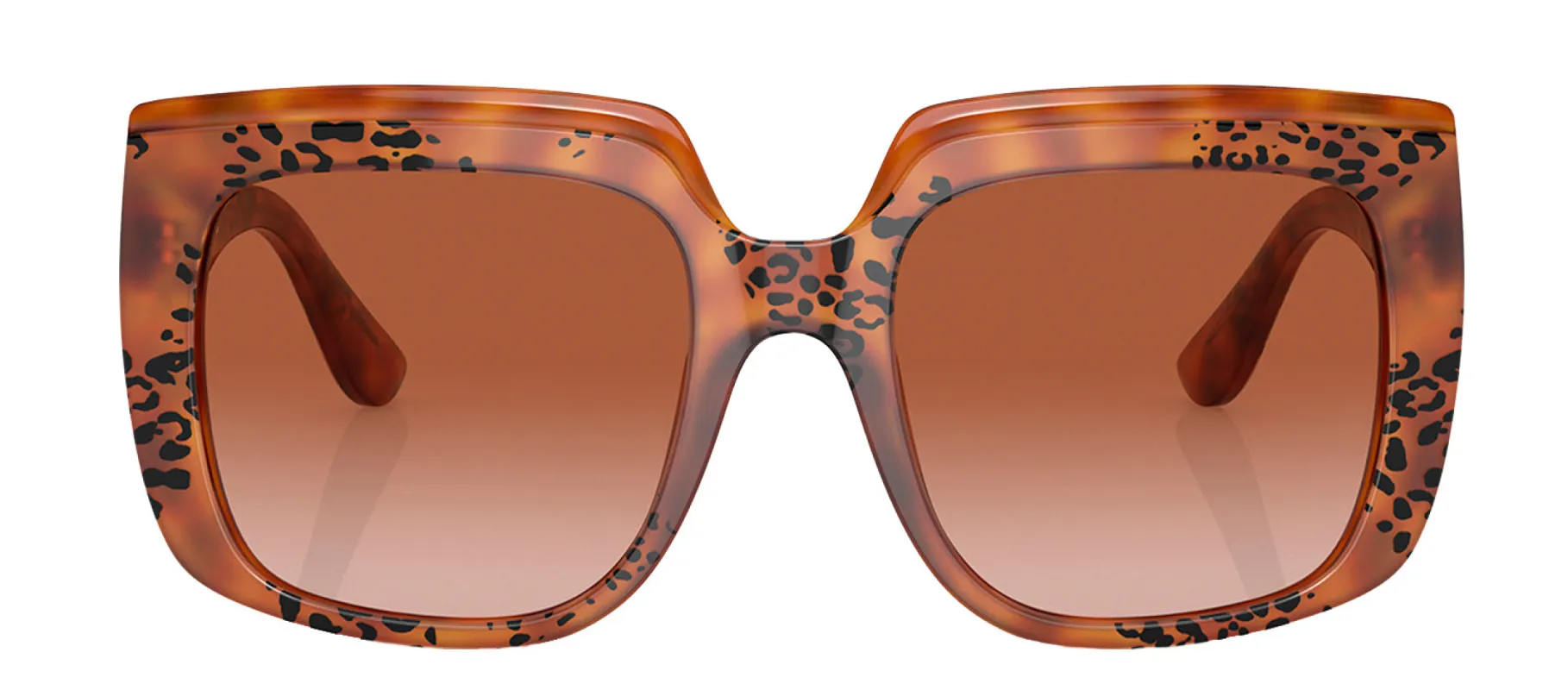 Dolce & Gabbana DG 4414 338013 Square Plastic Havana Sunglasses with Brown Gradient Lens sold by Gaffos