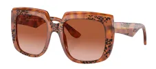Dolce & Gabbana DG 4414 338013 Square Plastic Havana Sunglasses with Brown Gradient Lens sold by Gaffos