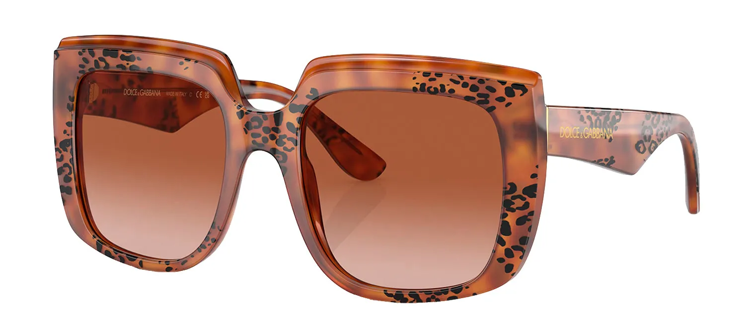 Dolce & Gabbana DG 4414 338013 Square Plastic Havana Sunglasses with Brown Gradient Lens sold by Gaffos product image thumbnail 2