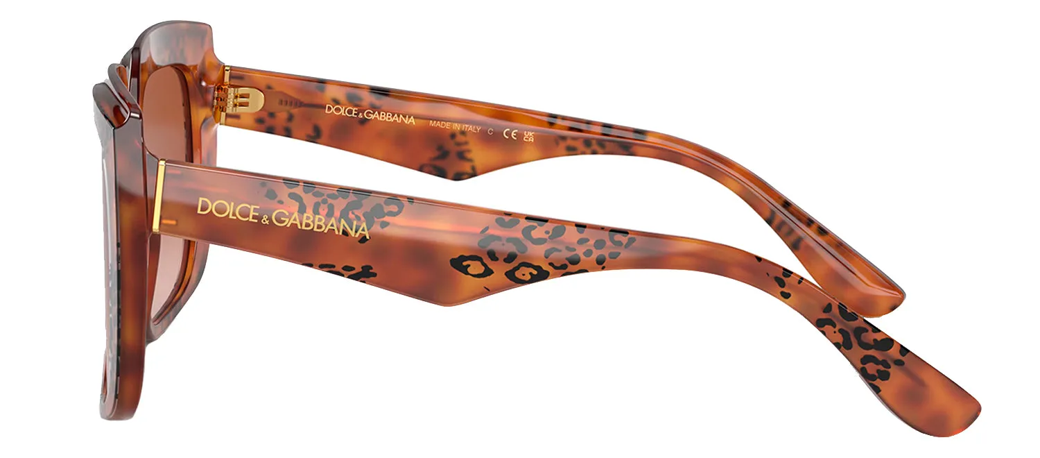 Dolce & Gabbana DG 4414 338013 Square Plastic Havana Sunglasses with Brown Gradient Lens sold by Gaffos product image thumbnail 3
