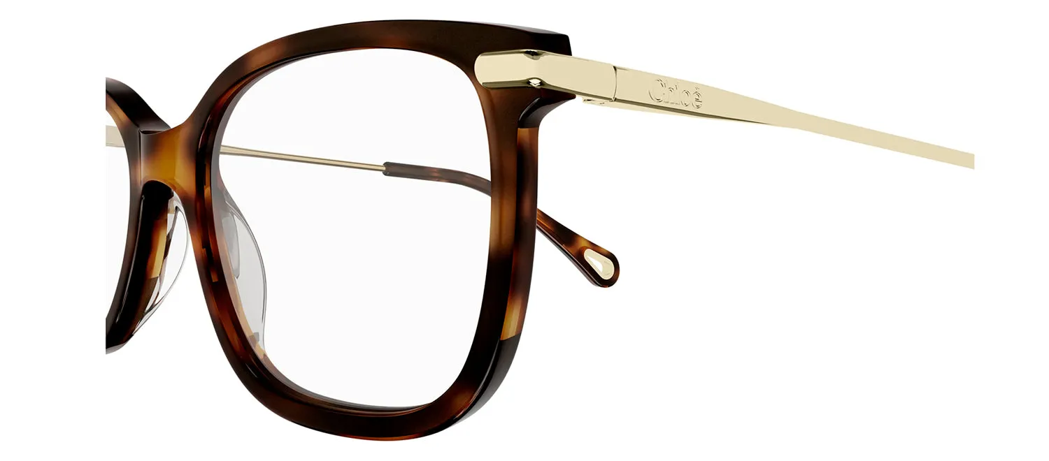 Chloe CH 0059O 009 Cat-Eye Plastic Havana Eyeglasses with Logo Stamped Demo Lenses sold by Gaffos product image thumbnail 3