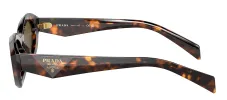Prada PR 26ZS 14L09Z Oval Plastic Tortoise Sunglasses with Brown Lens sold by Gaffos
