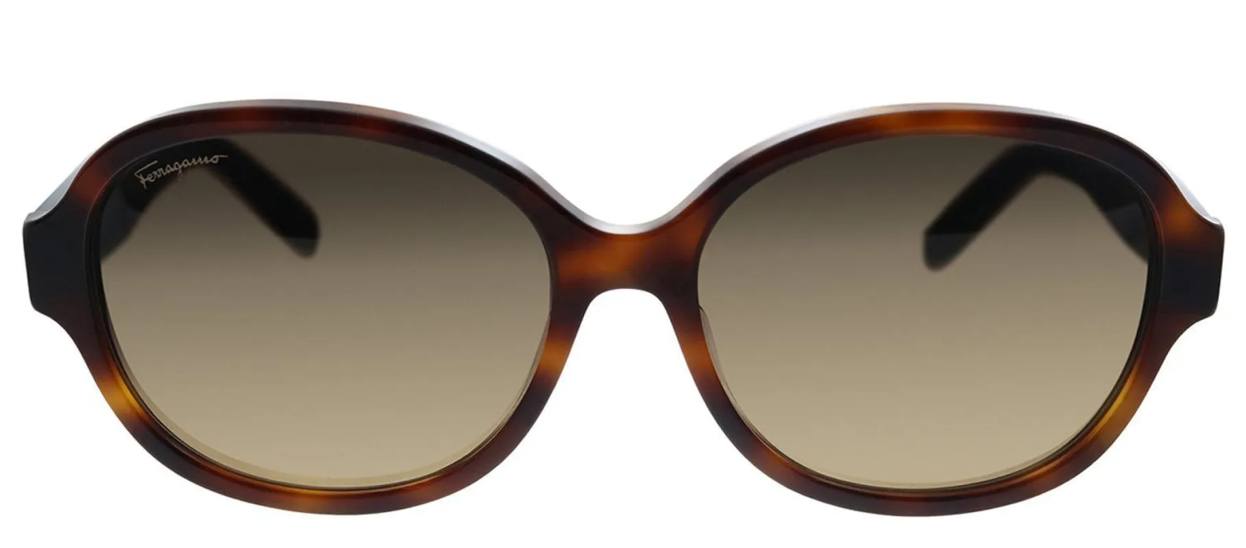 Salvatore Ferragamo SF 885SA 214 Oval Plastic Havana Sunglasses with Brown Gradient Lens sold by Gaffos