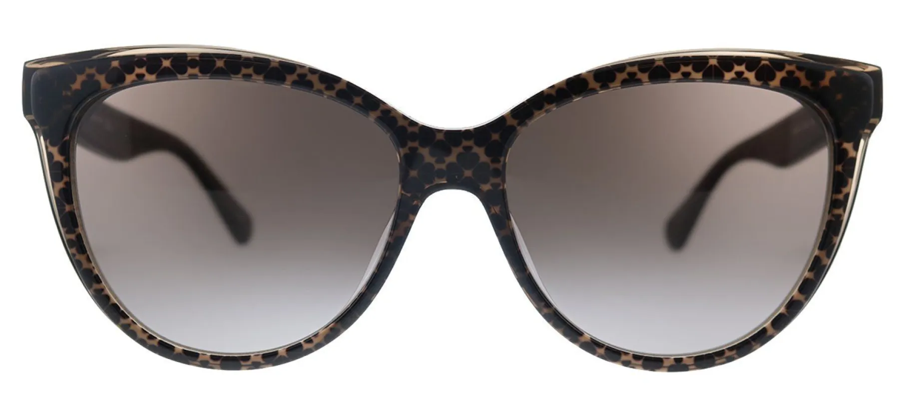 Kate Spade KS Daesha/S 305 Cat-Eye Plastic Brown Sunglasses with Brown Gradient Lens sold by Gaffos
