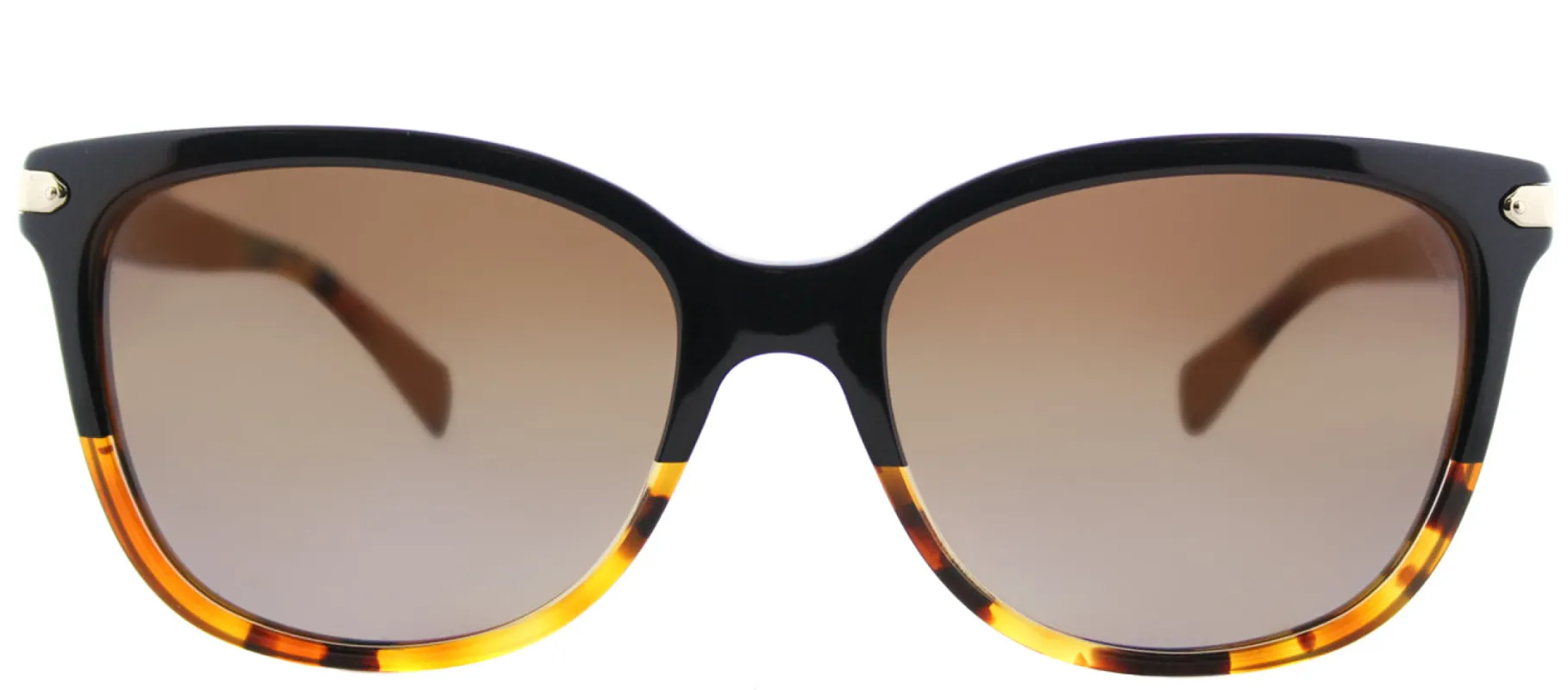 Coach L109 HC 8132 5438T5 Cat-Eye Plastic Brown Sunglasses with Brown Gradient Polarized Lens sold by Gaffos