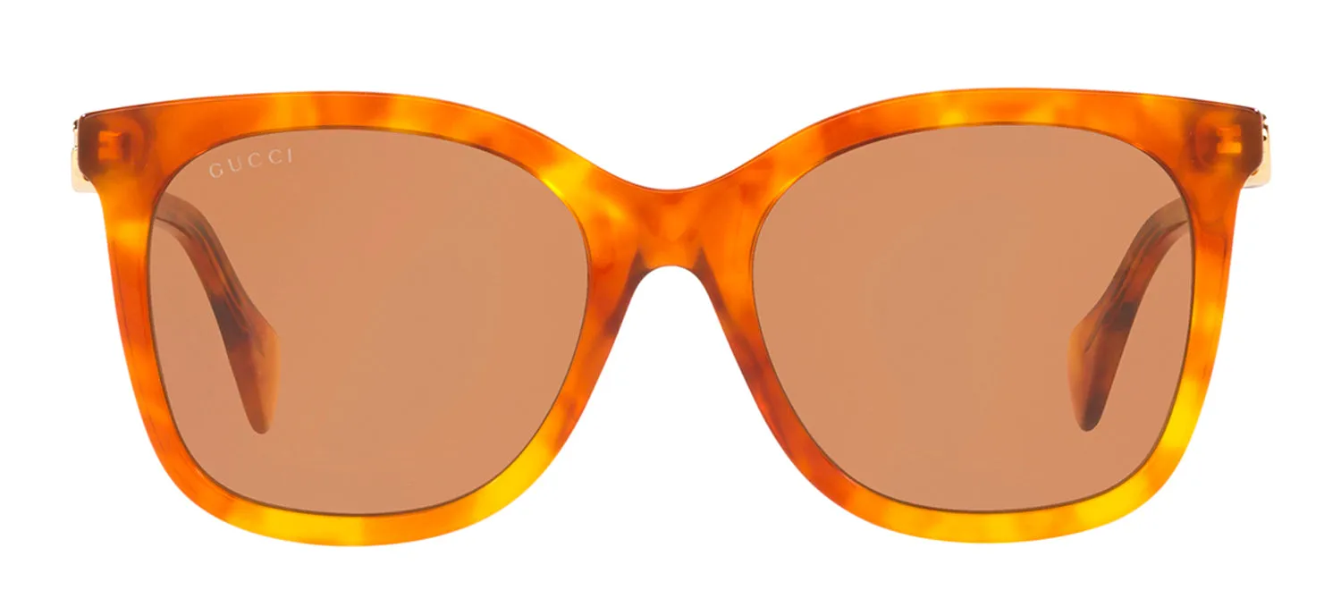 Gucci GG 1071S 002 Cat-Eye Plastic Havana Sunglasses with Brown Lens sold by Gaffos