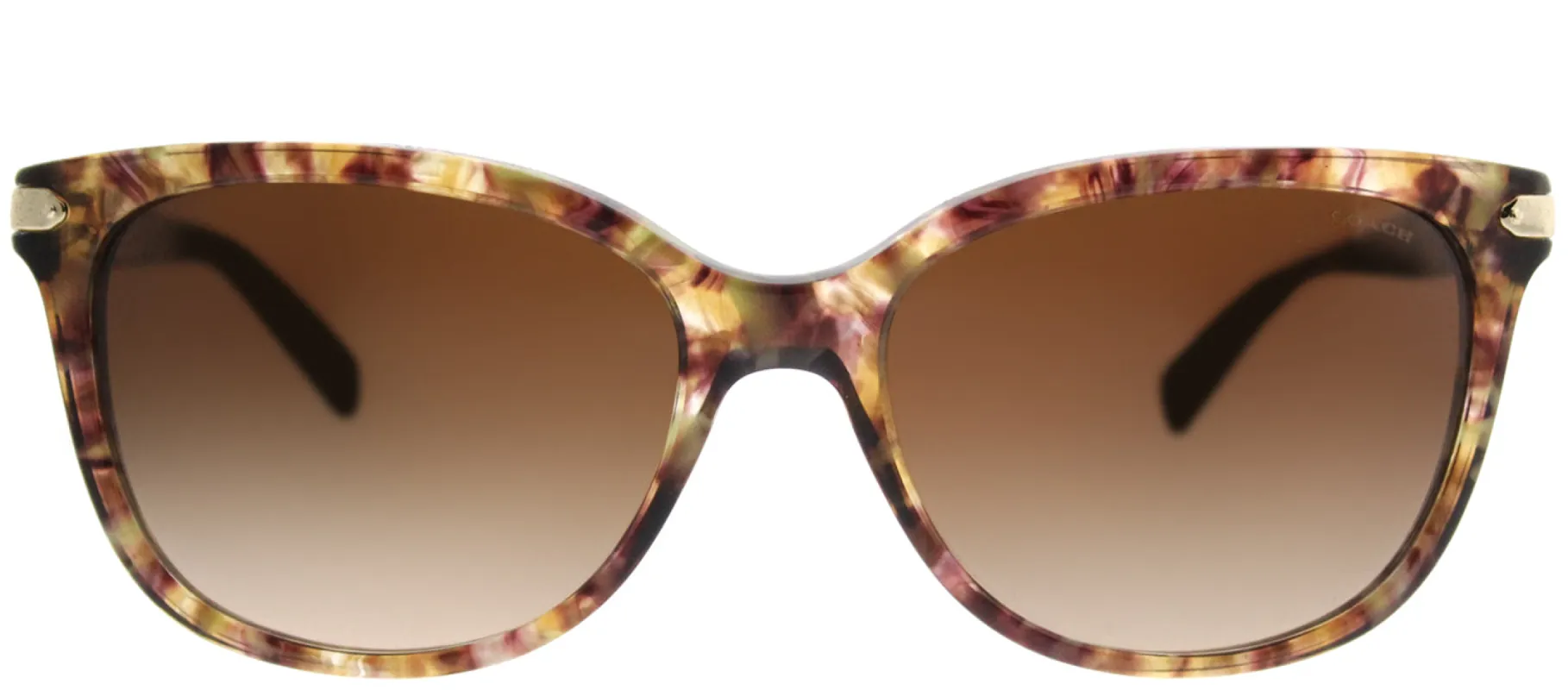 Coach L19 HC 8132 528713 Cat-Eye Plastic Brown Sunglasses with Brown Gradient Lens sold by Gaffos