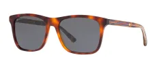 Gucci GG 0381SN 009 Rectangle Plastic Havana Sunglasses with Blue Lens sold by Gaffos