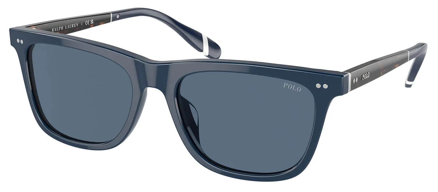 Ralph Lauren PH 4205U 546580 Square Plastic Blue Sunglasses with Blue Lens sold by Gaffos product image thumbnail 2