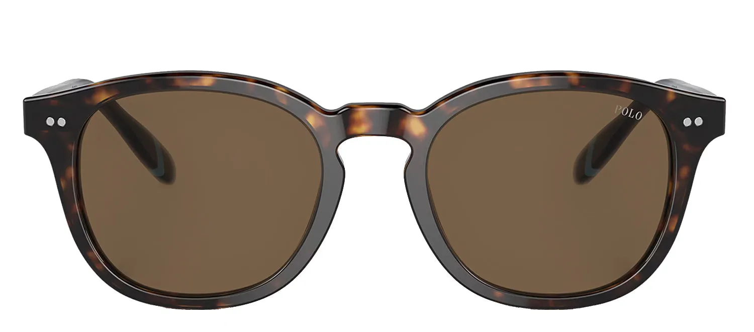 Ralph Lauren PH 4206 500373 Phantos Plastic Havana Sunglasses with Brown Lens sold by Gaffos