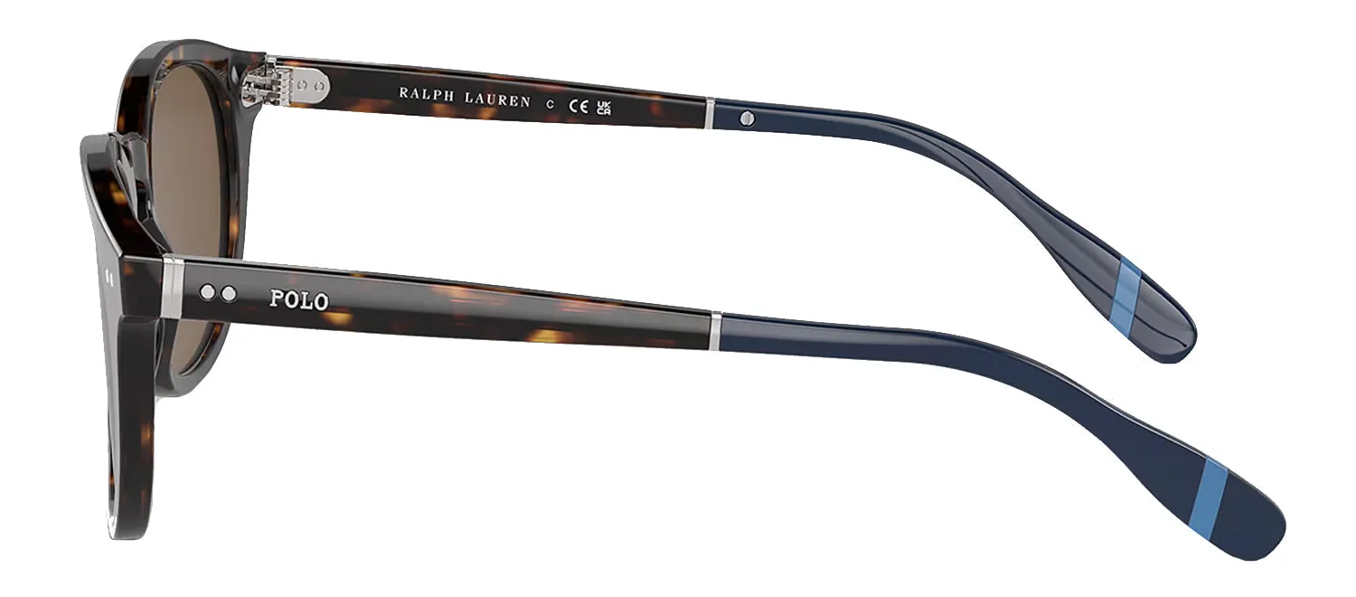 Ralph Lauren PH 4206 500373 Phantos Plastic Havana Sunglasses with Brown Lens sold by Gaffos product image thumbnail 3