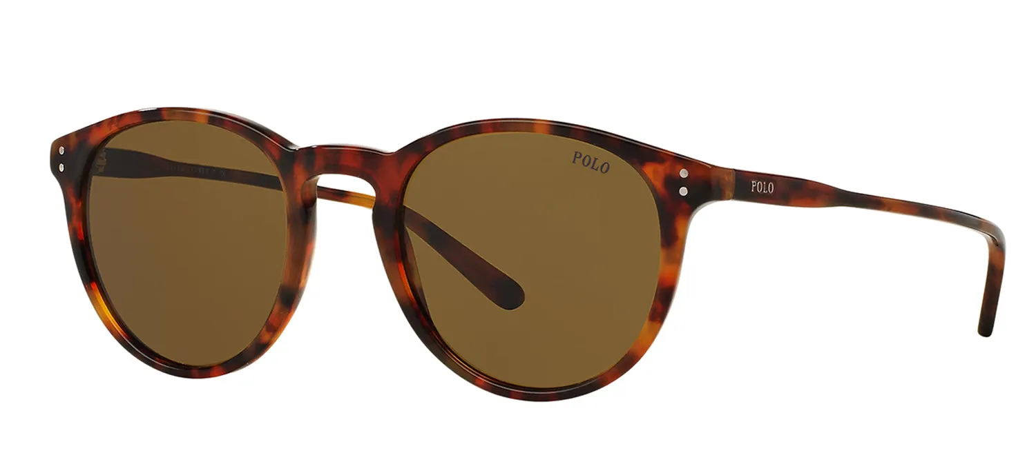 Ralph Lauren PH 4110 501773 Phantos Plastic Havana Sunglasses with Brown Lens sold by Gaffos product image thumbnail 2
