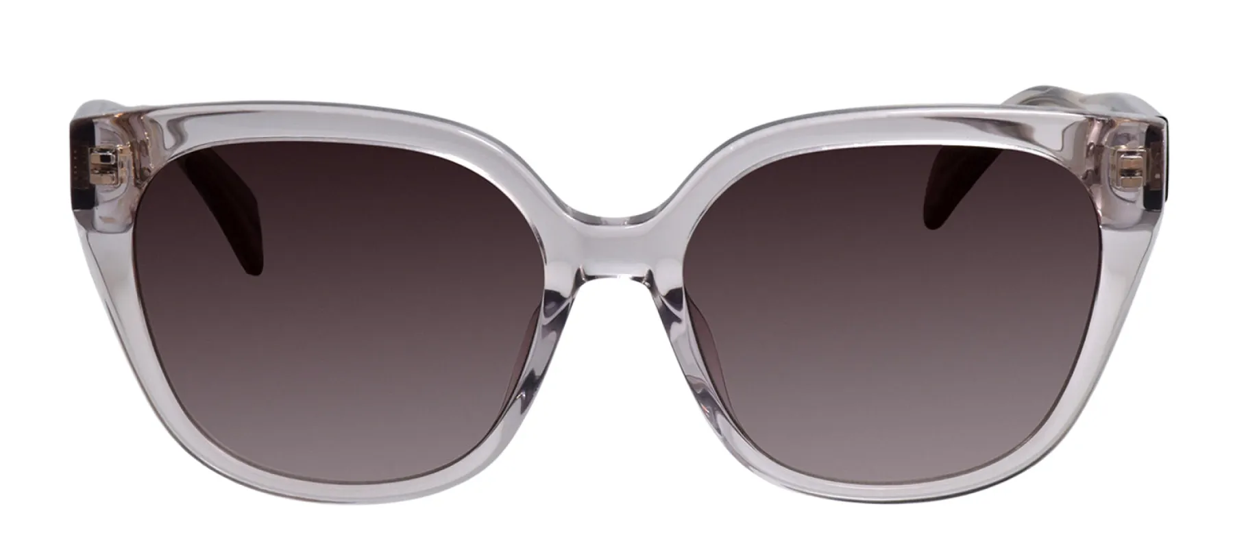 Rag & Bone RNB 1073/S 09Q Square Acetate Brown Sunglasses with Brown Gradient Lens sold by Gaffos