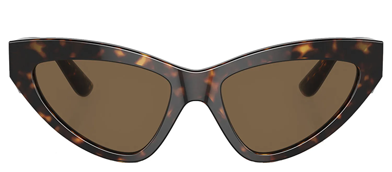 Dolce & Gabbana DG 4439 502/73 Cat Eye Acetate Brown Sunglasses with Brown Lens sold by Gaffos