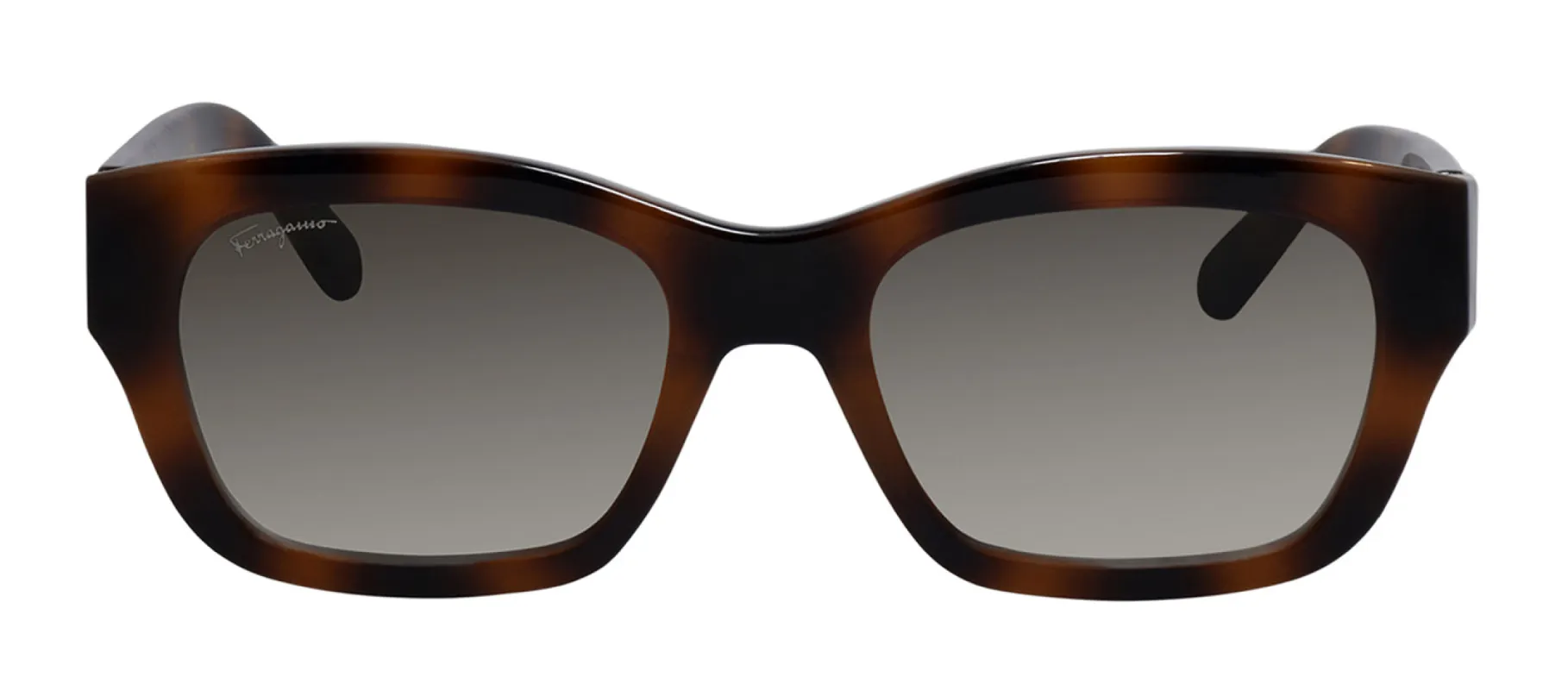 Salvatore Ferragamo SF 1012S 5319214 Square Plastic Tortoise Sunglasses with Grey Gradient Lens sold by Gaffos