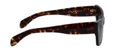 Rag & Bone RNB 1068/S 086 Cat Eye Acetate Havana Sunglasses with Brown Gradient Lens sold by Gaffos
