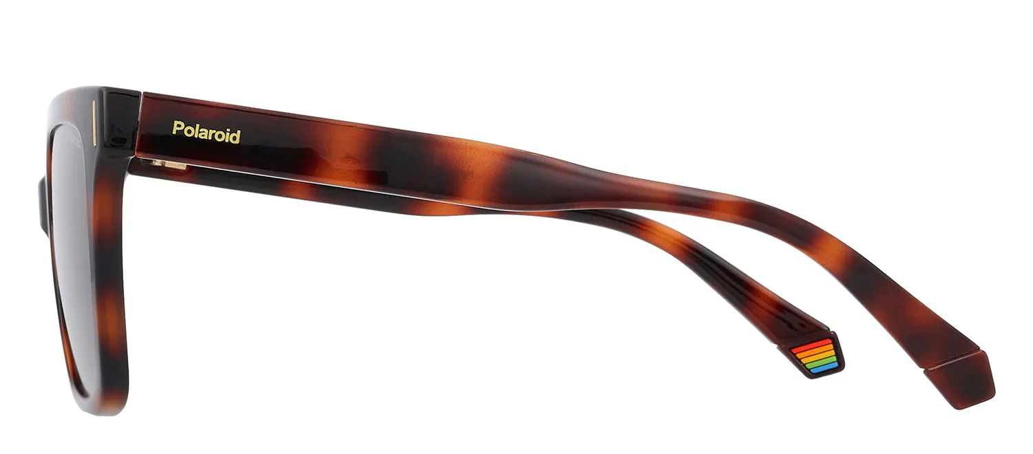 Polaroid PLD 6192/S 086_SP Cat-Eye Plastic Havana Sunglasses with Brown Polarized Lens sold by Gaffos product image thumbnail 3