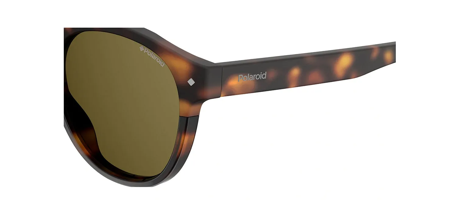 Polaroid PLD 6042/S 086_SP Panthos Plastic Havana Sunglasses with Brown Polarized Lens sold by Gaffos product image thumbnail 3