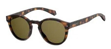 Polaroid PLD 6042/S 086_SP Panthos Plastic Havana Sunglasses with Brown Polarized Lens sold by Gaffos