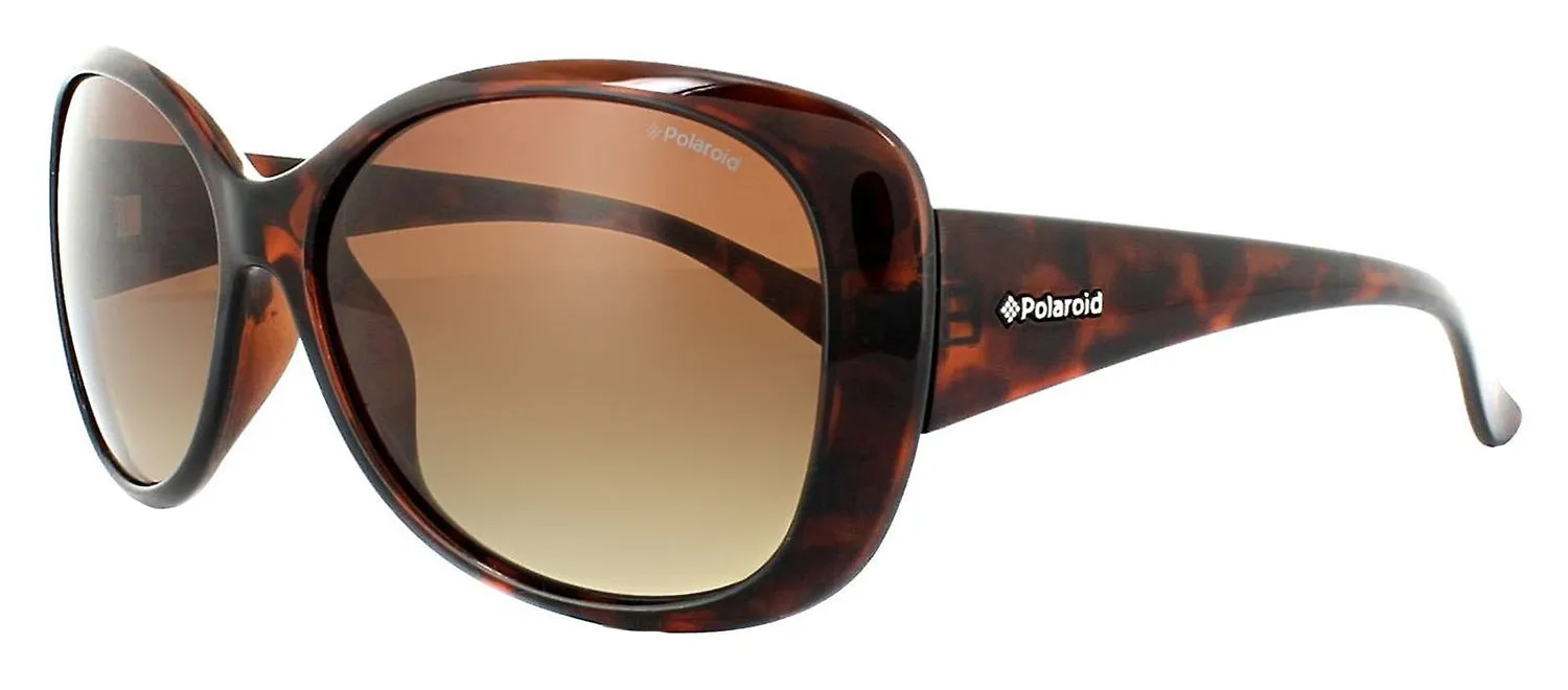 Polaroid PLD 8317 0BM_LA Butterfly Plastic Havana Sunglasses with Brown Polarized Lens sold by Gaffos product image thumbnail 2