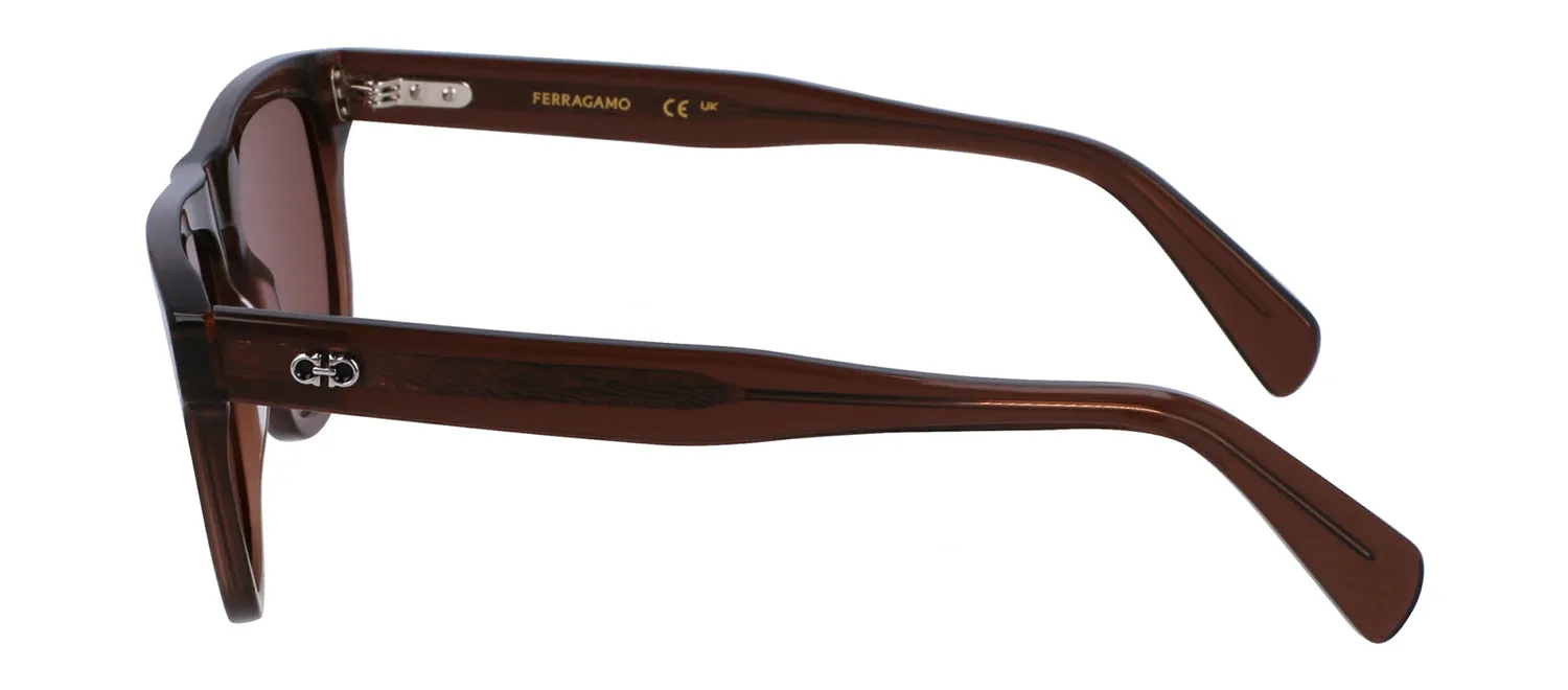 Salvatore Ferragamo SF 1111S 232 Browline Plastic Transparent Brown Sunglasses with Brown Lens sold by Gaffos product image thumbnail 3
