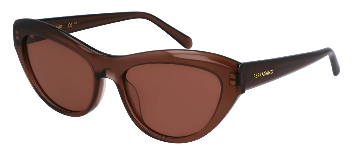 Salvatore Ferragamo SF 1103S 232 Cat-Eye Plastic Brown Sunglasses with Brown Lens sold by Gaffos product image thumbnail 2