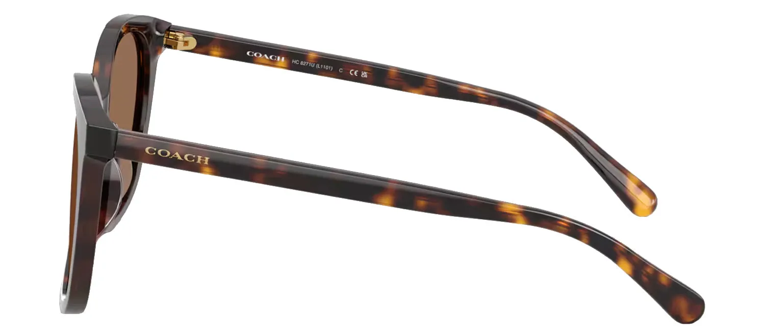Coach HC 8271U 512073 Square Plastic Tortoise Sunglasses with Brown Lens sold by Gaffos product image thumbnail 3