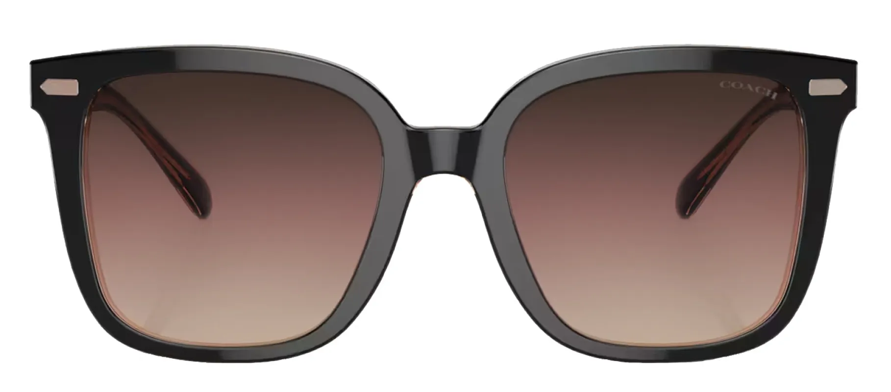 Coach HC 8381U 5.78E+05 Square Plastic Black Sunglasses with Purple Gradient Lens sold by Gaffos